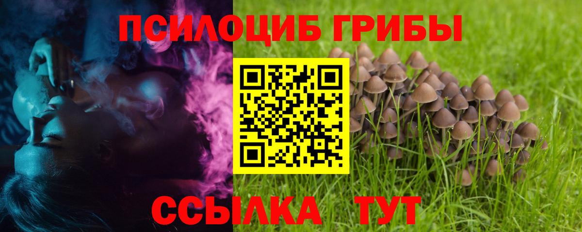 Борисоглебск  Псилоцибиновые грибы Psilocybine cubensis  Вход с VPN 