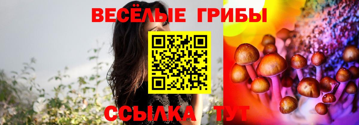 Псилоцибиновые грибы Psilocybe Борисоглебск